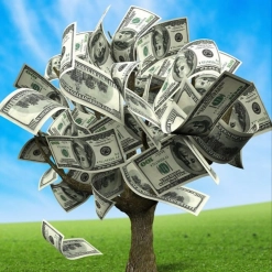 45. The Magic Money Tree 