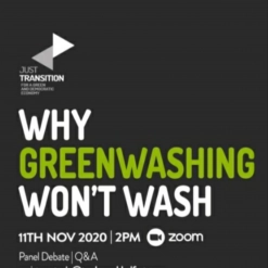 49. Why Greenwashing Won't Wash 