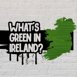 61. What's green in Ireland? 