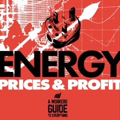 80. Energy, Prices and Profits