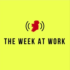 121. Matt Cooper's Dog Whistles, Damien English's Missing Home, Bono's Politics, and Harry's Gilded Cage