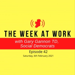 42. Mother & Baby Homes, Social Welfare Changes and Education during Covid