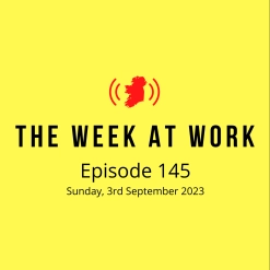 145. Electoral reform, Workers' Rights Attacks and Free State mindset